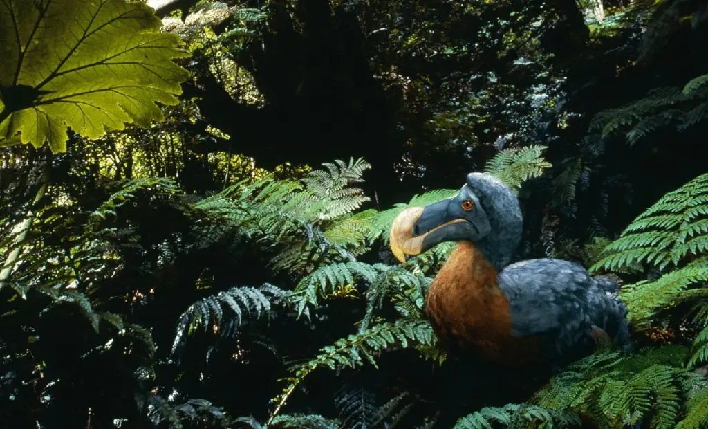 5 důvodů, proč je objev „malého doda“ na Samoa zásadní pro celou planetu