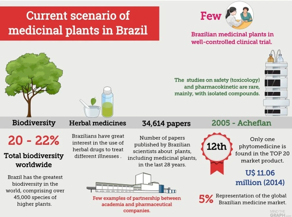 Brazilská rostlina z pobřeží, která by mohla změnit léčbu artritidy - image 2