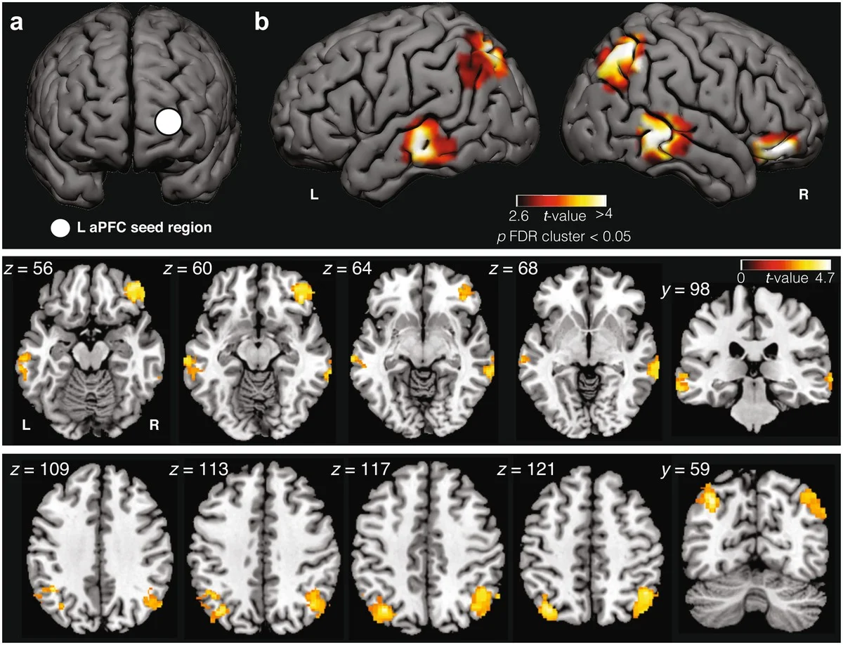 Jak aktivovat záložní systém mozku: Proč se lucidní sny podobají psychedelickým zážitkům - image 1