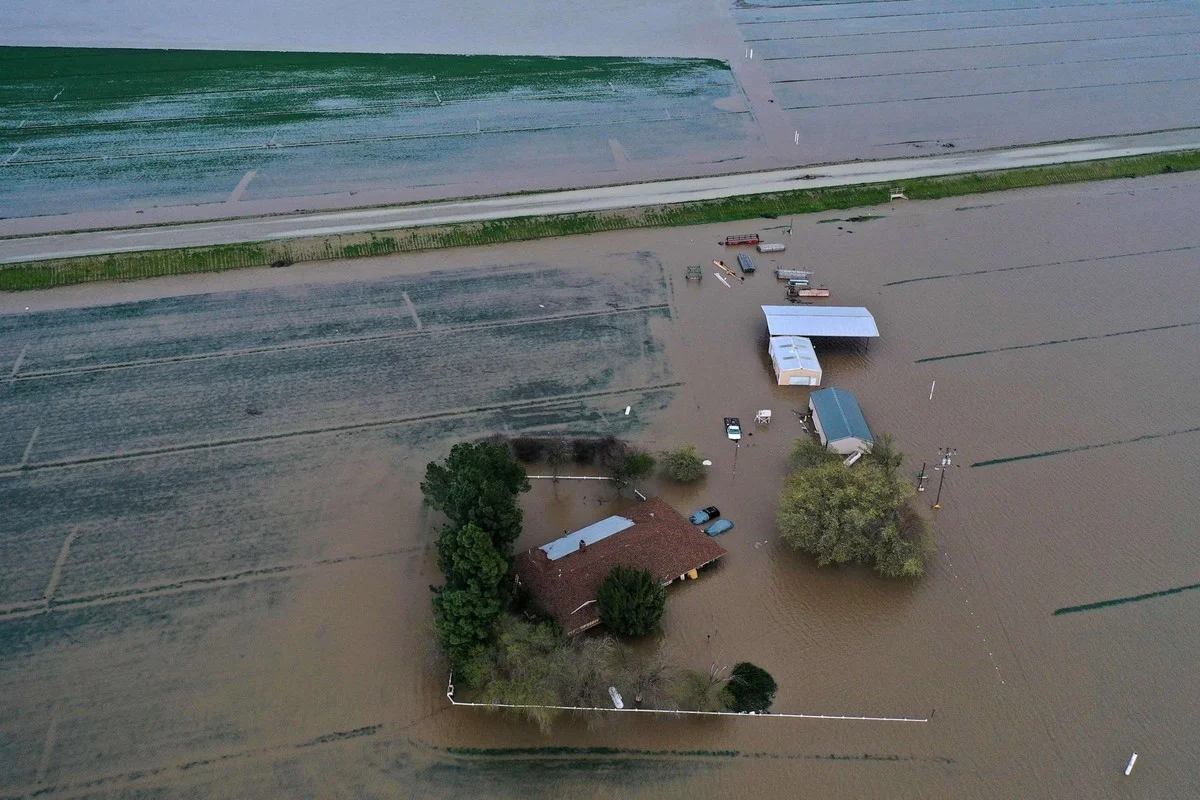 Jak mrtvé jezero pohltilo 94 000 akrů půdy: Důsledky pro český trh s ořechy a bavlnou - image 2