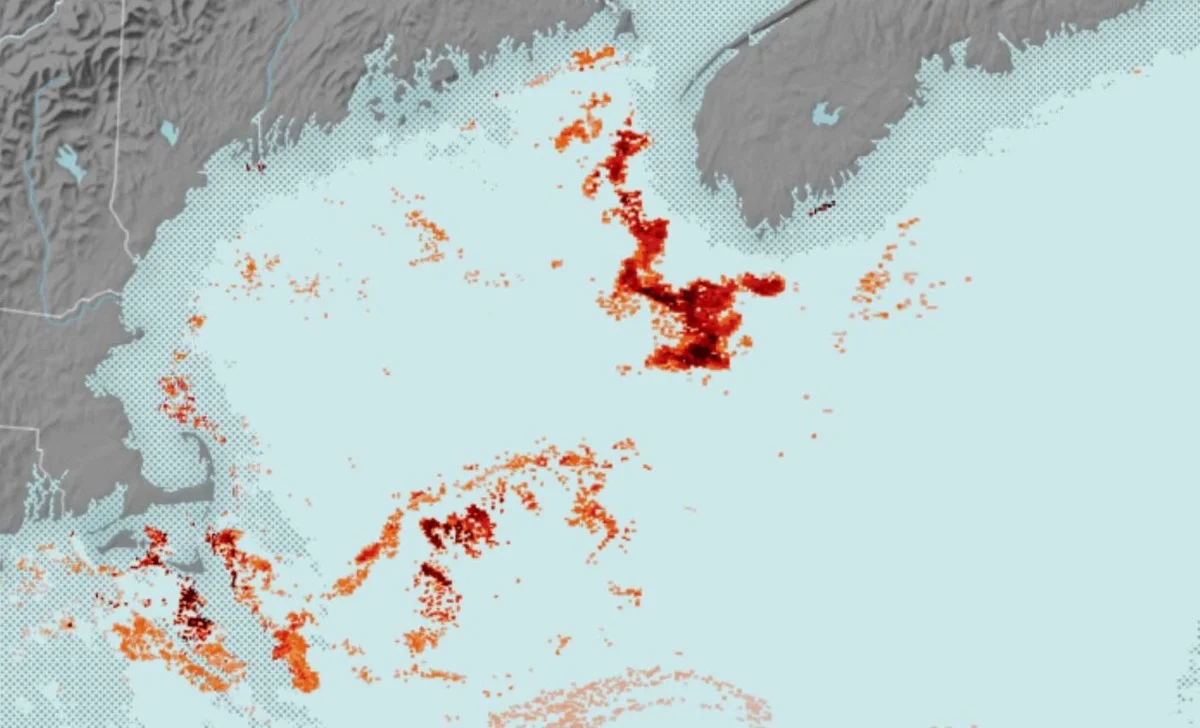 Jak satelity NASA objevily nečekané „červené zlato“ oceánu, které zachraňuje velryby - image 2
