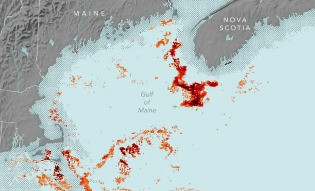 NASA poprvé sledovala neviditelného červa, který drží při životě nejohroženější velryby na světě