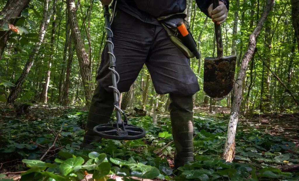 Našel kdesi v německém lese: Neuvěřitelné 450 stříbrných mincí a zlatý prsten odhalily ukrytý římský poklad