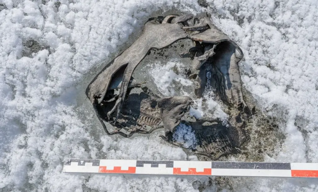 Norské ledovce skrývají římskou módu. Co odhalil taje 1700 let starý sandál z hor?