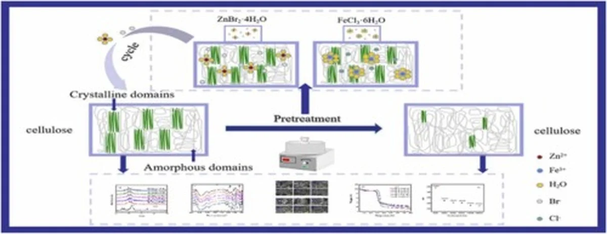 Nová japonská finta: Jak dostat sůl do dřeva a vytvořit „dokonalý“ plast, který zastaví mikroplasty - image 2
