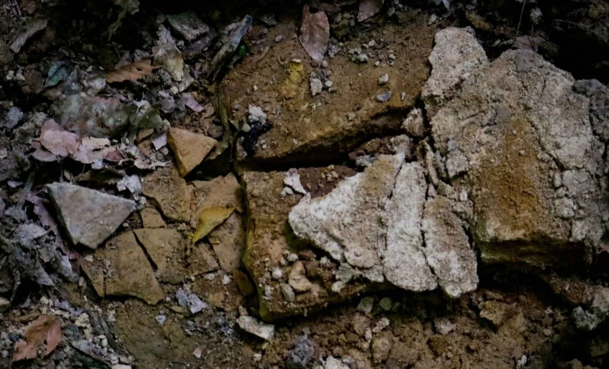 Odhaleno: Kanadský objev, který má změnit cenu elektromobilů. Proč teď všichni mluví o James Bay? - image 1