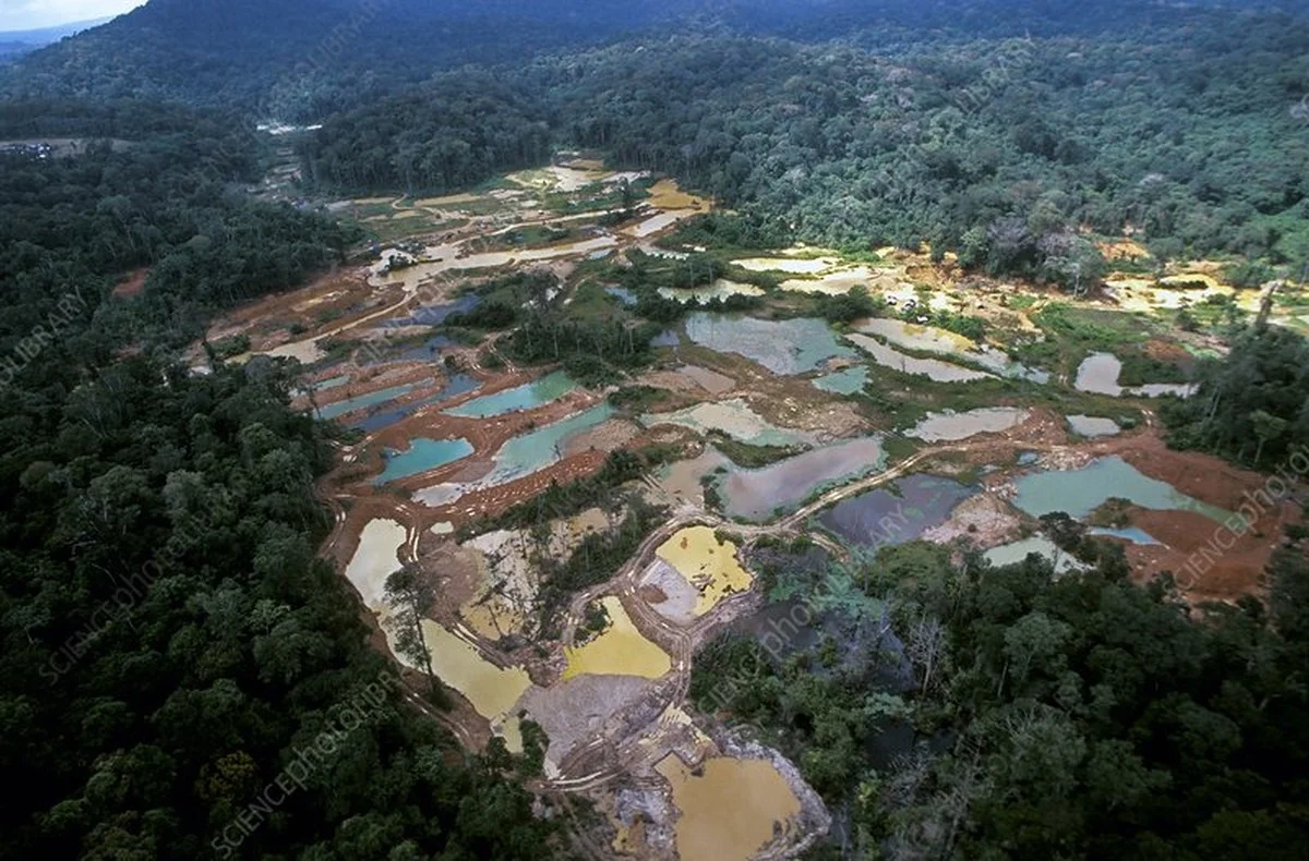 Prekvapivý nález v Surinamskej džungli: Prečo geológovia vkladajú špongiu do pôdy - image 1