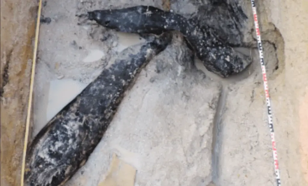 Převratný objev v Zambii: Našli jsme dřevěnou stavbu starou 476 000 let. Mění se historie inženýrství