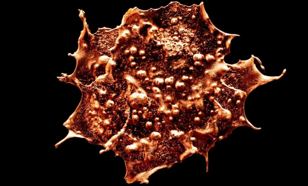 Proč geologové dávají do mapy New Yorku žhavou skvrnu z dob Pangea.