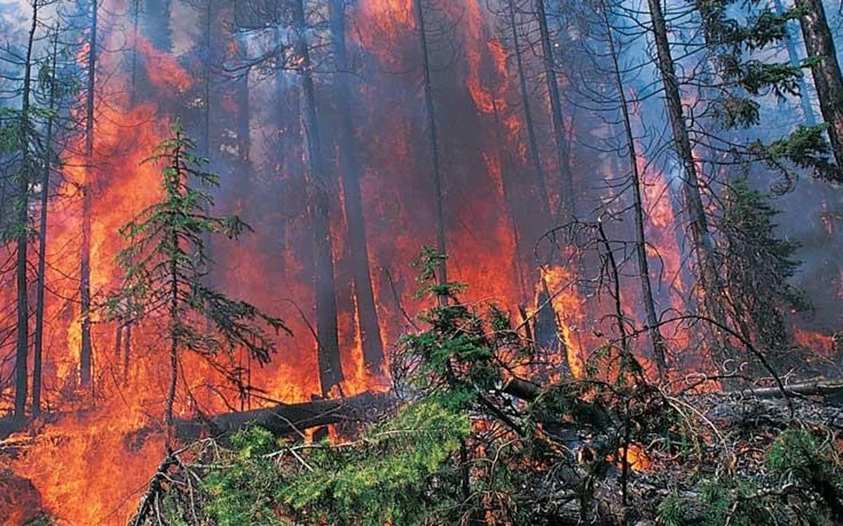 Proč meteorologové v Kanadě sledovali 'kouřovou příšeru' místo klasické bouře - image 1