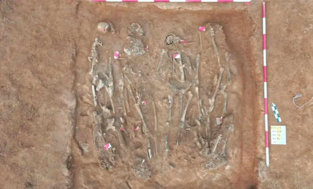 Proč se v Česku u dálnice D11 našly desítky kávomlýnků a kapesních hodinek, starých 250 let