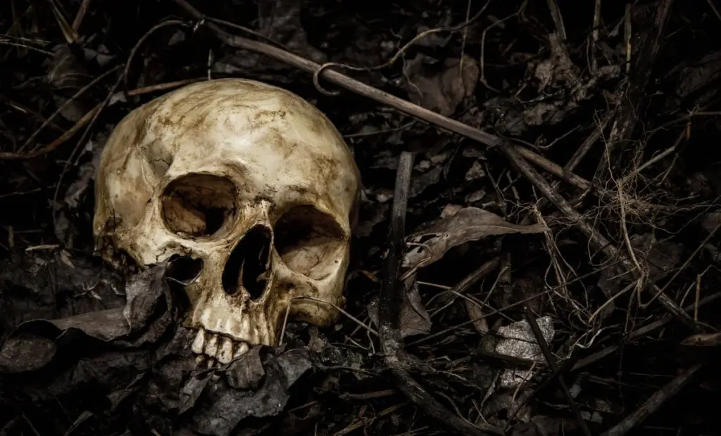 Proč se v čínském „Pohřebišti lebek“ našly jen kosti mladých mužů, ačkoli experti 50 let tvrdili opak