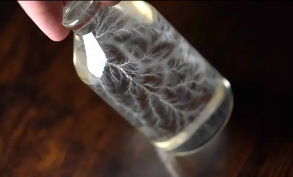 Proč se vnitřek průhledné lahve rozsvítí jako blesk: Tajemství fyziků, které se obejde bez baterií