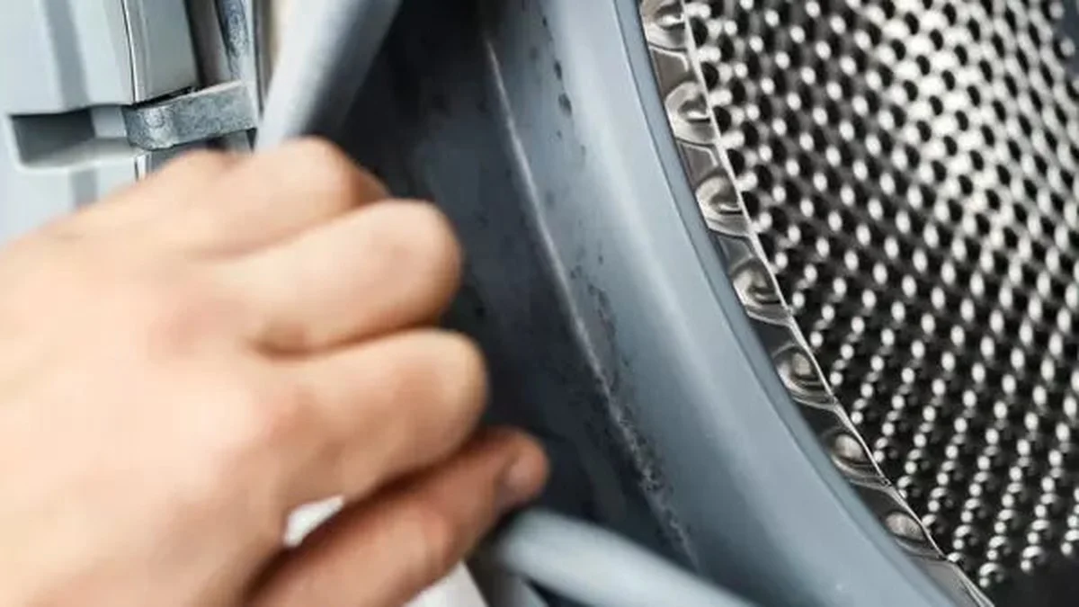 Proč se v pračce s předním plněním tvoří po praní vlhkost: Tři kroky, jak zabránit plísni a zatuchlému pachu - image 2