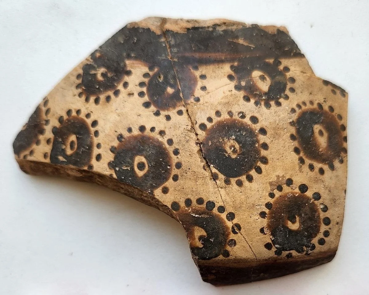 Proč starověcí hrnčíři malovali květiny s 8, 16 a 32 lístky: Tajemství 8000 let staré keramiky - image 2