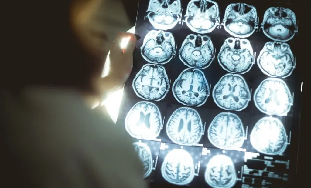 Proč zkušení neurovědci sledují 2 % DNA, které nekódují bílkoviny