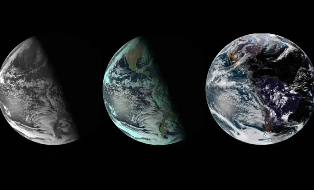 Proč zkušení zahradníci dávají houbu na dno květináče