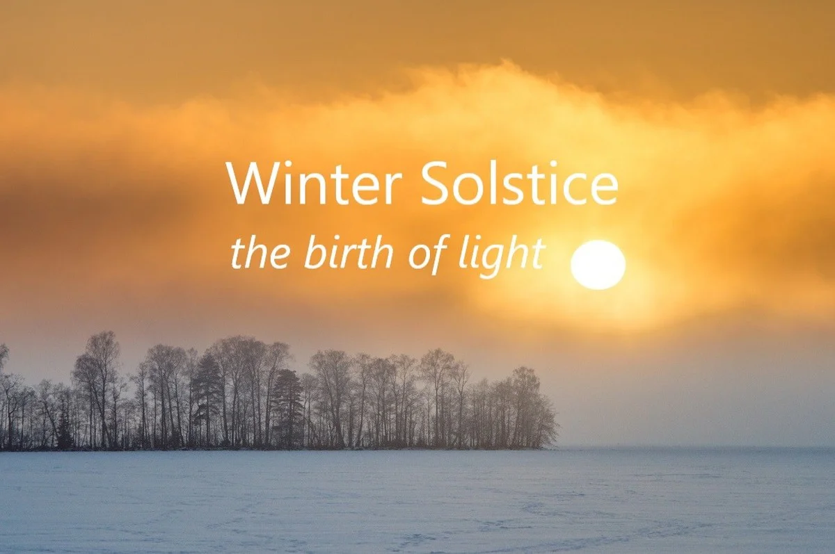 Proč zkušení zahradníci dávají houbu na dno květináče - image 1