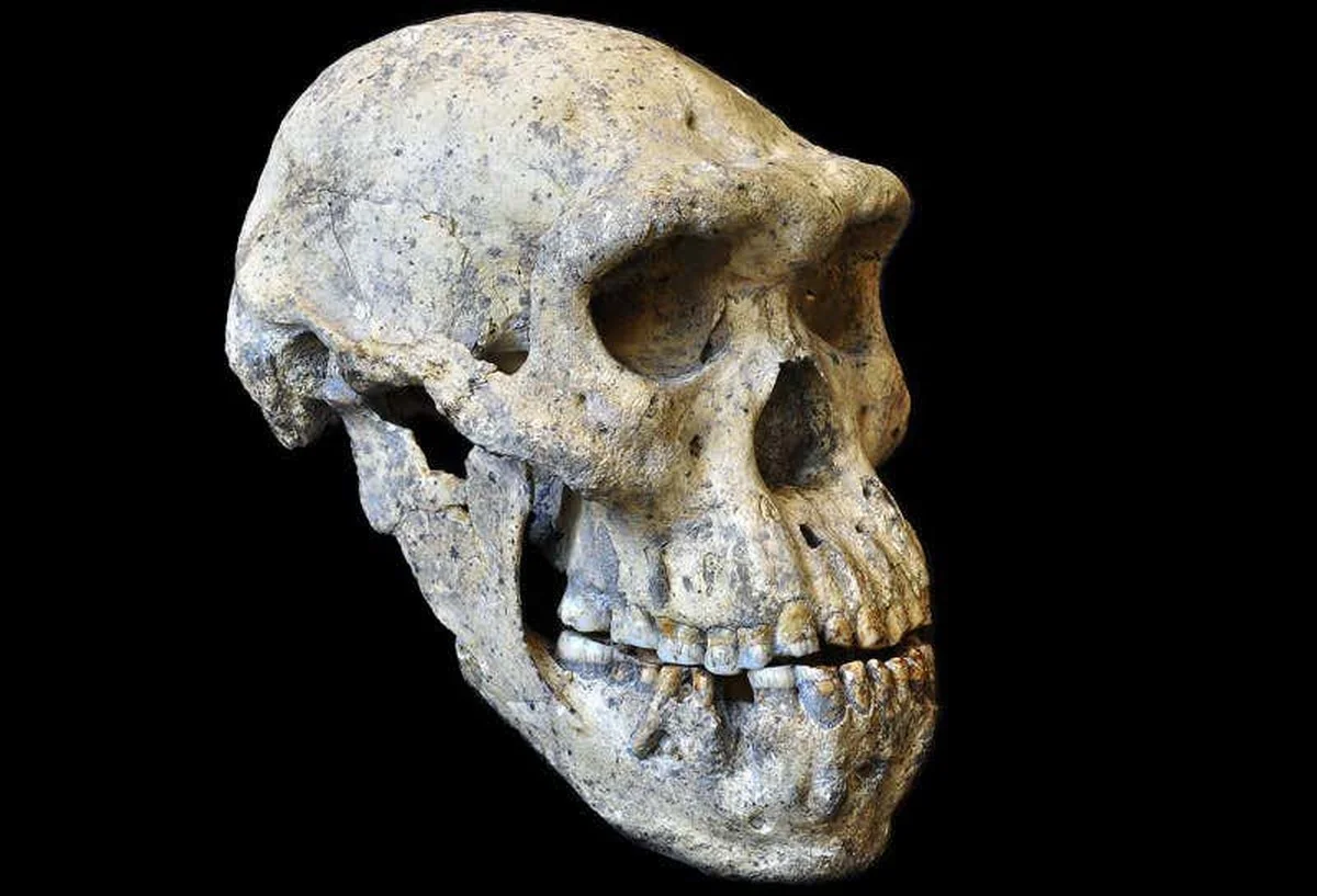 Šokující objev v Turecku: Proč vědci najednou mluví o Evropě jako kolébce lidstva? - image 2