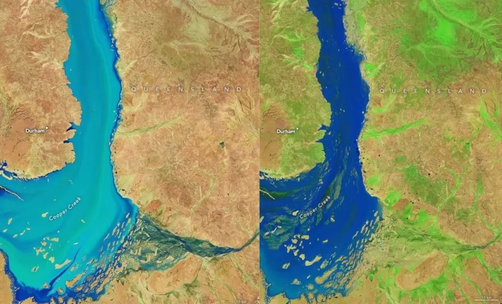 Tajemství australské pouště: Satelity NASA zachytily neuvěřitelný „zelený koridor“, který se objeví jen párkrát za život