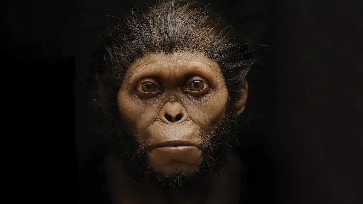 Tajemství, které konečně odhalila lebka Dračího muže: Jak přesně vypadali Denisované? - image 1