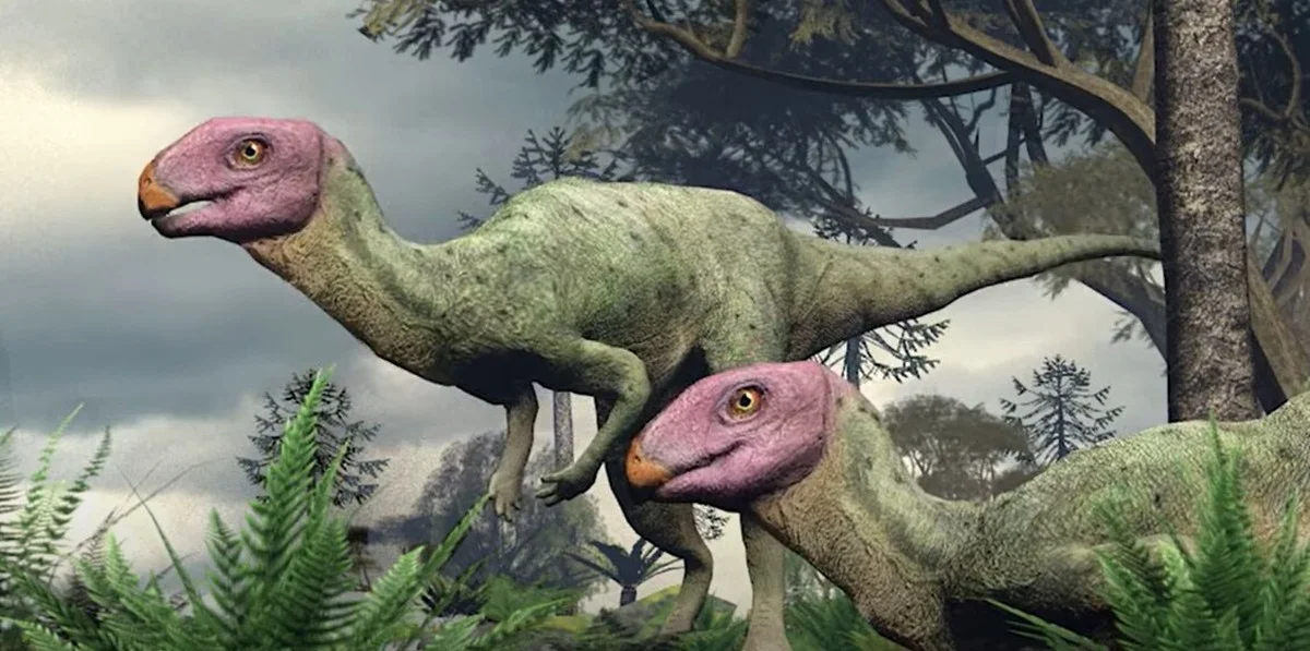 Tři důvody, proč experti schovávají tuto fosilii z Thajska mimo dosah velkého Spina - image 1