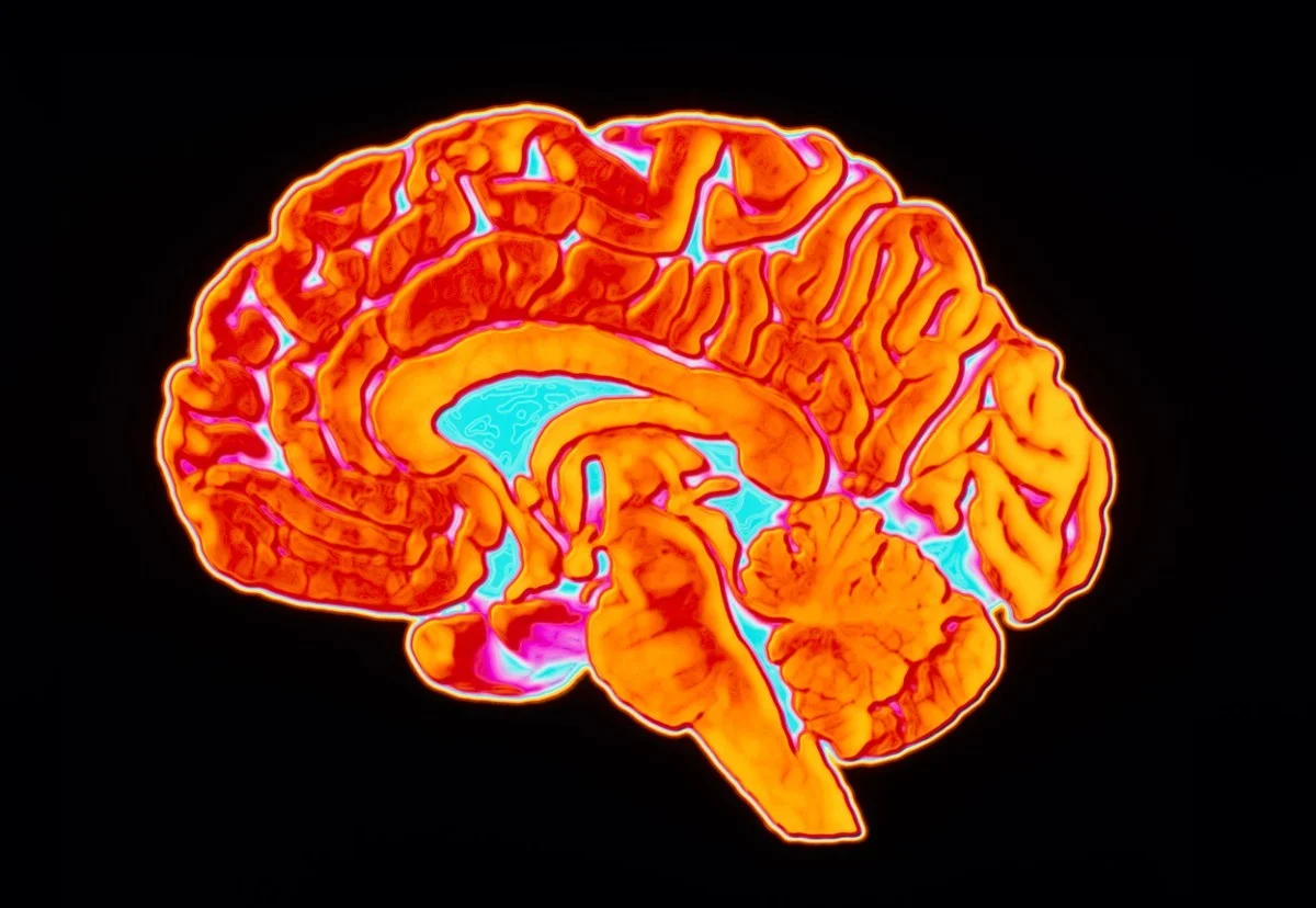 Tři důvody, proč zkušení biohackeři posouvají trénink na ráno - image 1