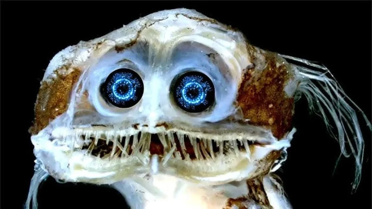 Tým vědců našel v Arktidě něco, co mění pravidla hry: Život v hloubce, kde by neměl existovat - image 1