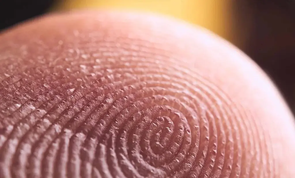 Věda potvrdila: Otisk prstu už možná není jedinečný – Pravidlo, které platilo 100 let, se hroutí