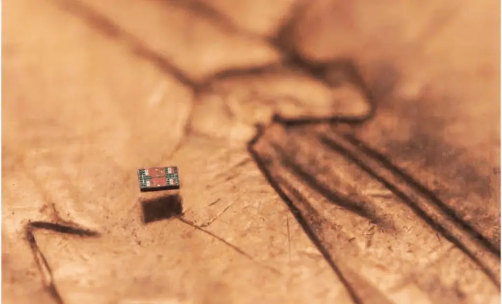 Vědci konečně vyřešili problém 40 let: Co dělají nejmenší plovoucí roboti s mozkem uvnitř