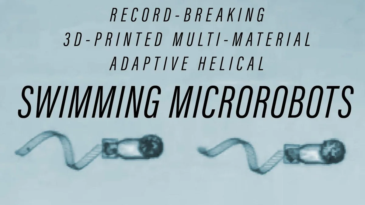 Vědci konečně vyřešili problém 40 let: Co dělají nejmenší plovoucí roboti s mozkem uvnitř - image 1