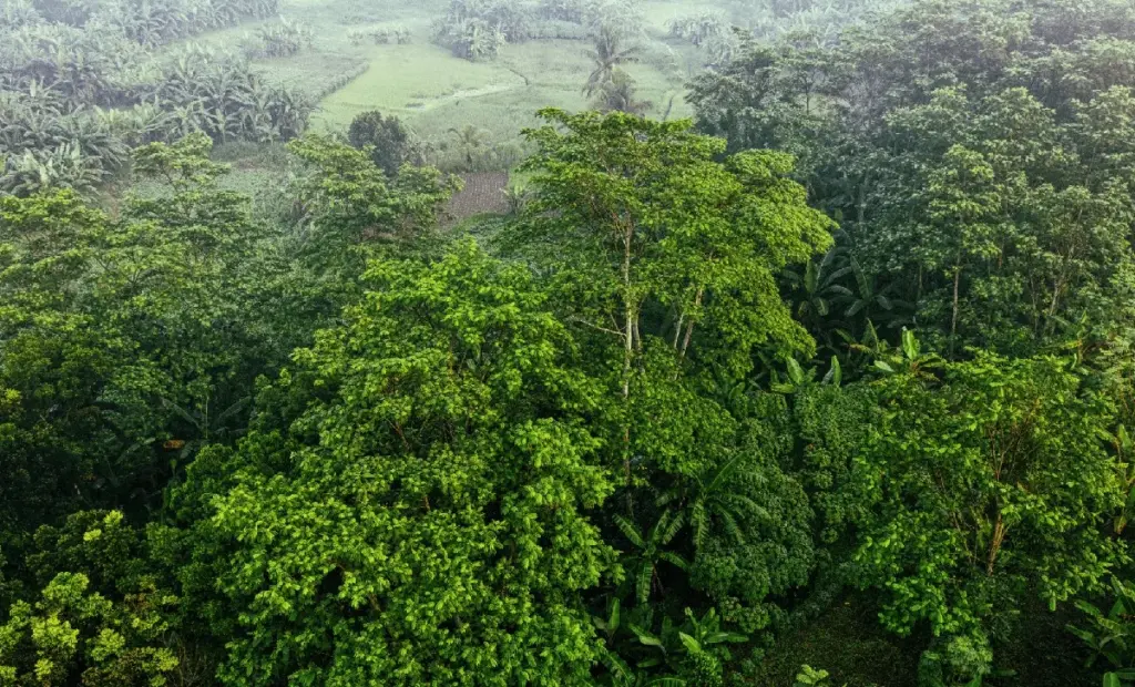 Vědci objevili ulitu, která zmizela před 118 lety: Tady je důvod, proč ji potřebujeme