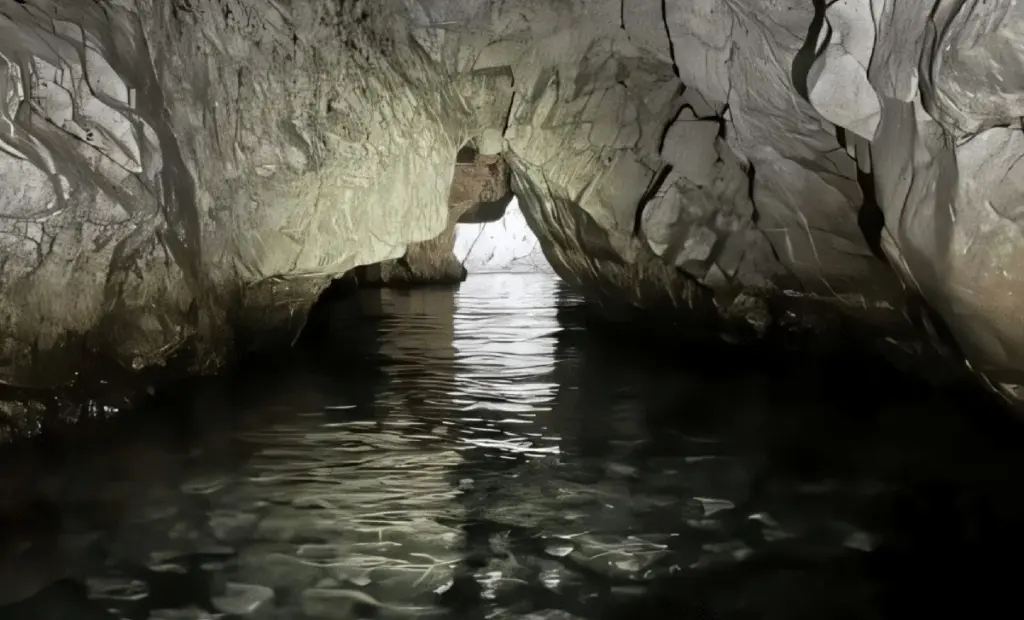 Vědci objevili v jeskyních u Kypru „plastitar“: Podvodní pasti ohrožují tuleně