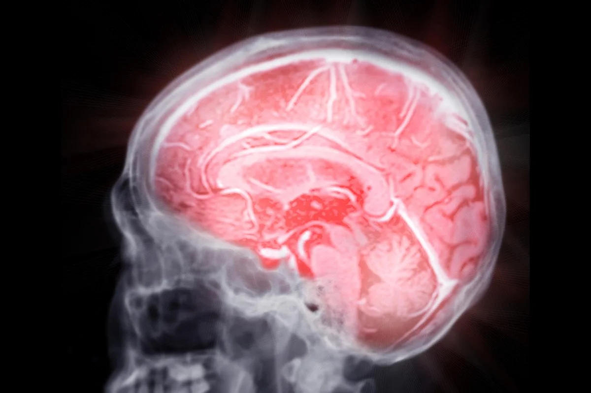 Vědci objevili v mozku skrytý přepínač: Stačí ovládnout tyto dva receptory a plak v mozku zmizí - image 1