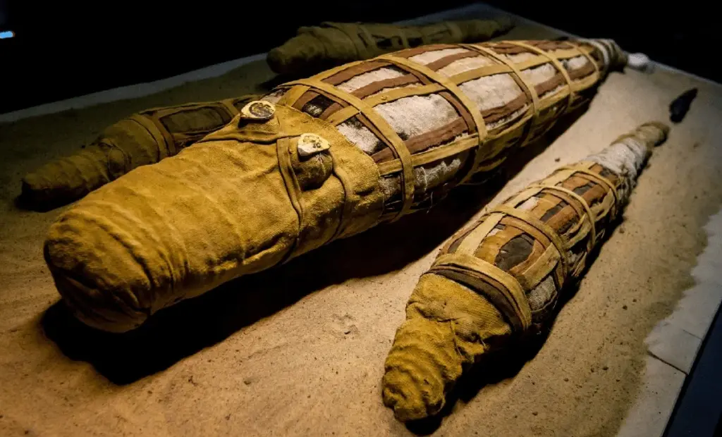 Vědci otevřeli 3000 let starého mumifikovaného krokodýla: Hák v jeho žaludku naznačuje, jak ho přesně Egypťané chytili