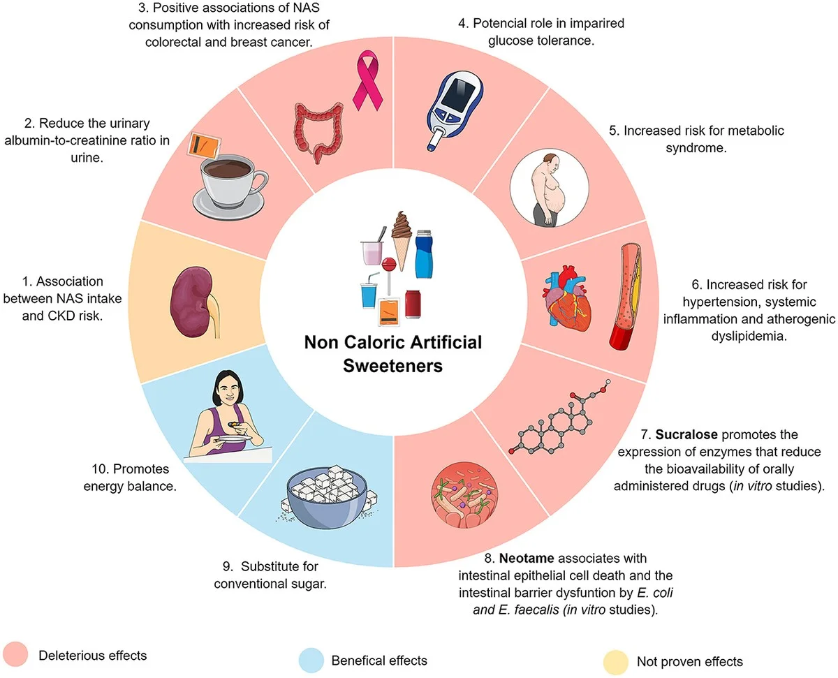 Vědci varují: Toto sladidlo denně zvyšuje riziko mrtvice a infarktu - image 2
