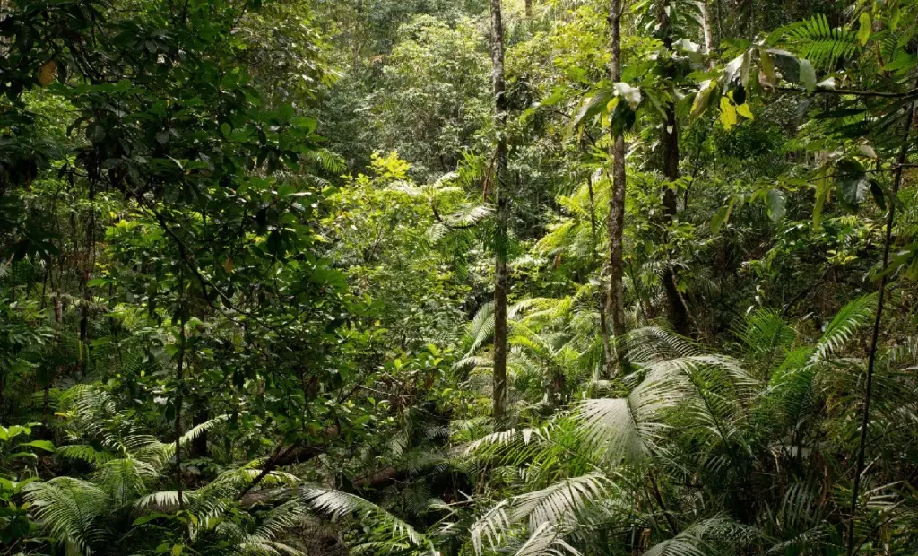 Zapomeňte na veškerou naději: Zmizení tohoto malého savce je pro Česko varováním