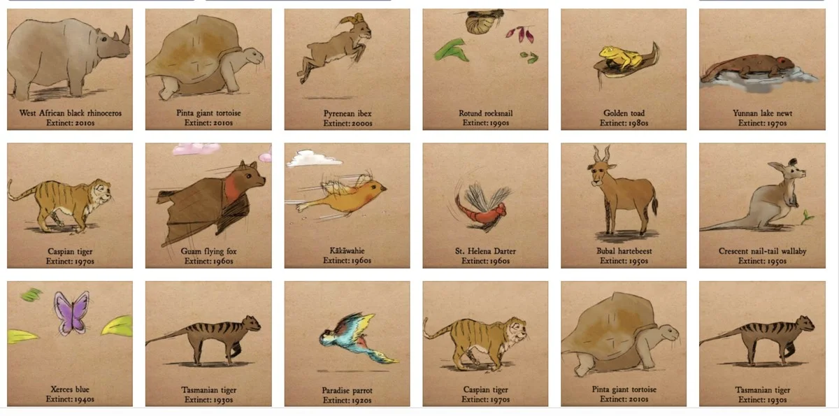 Zapomeňte na veškerou naději: Zmizení tohoto malého savce je pro Česko varováním - image 1