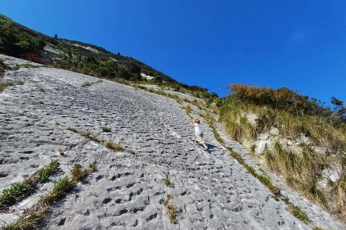 80 milionů let staré stopy v Itálii? Horolezci objevili neuvěřitelné svědectví dávného života - image 1