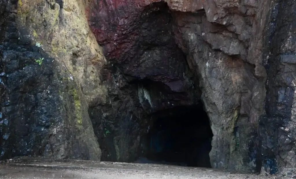 Chlapec se psem našel v díře 17 000 let starou jeskyni s uměním