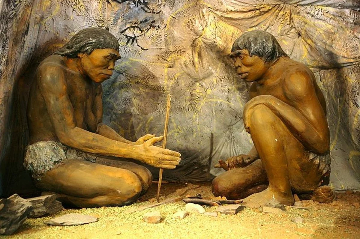 Homo erectus možná ovládal jazyk mnohem dříve než my, naznačuje nová studie - image 1