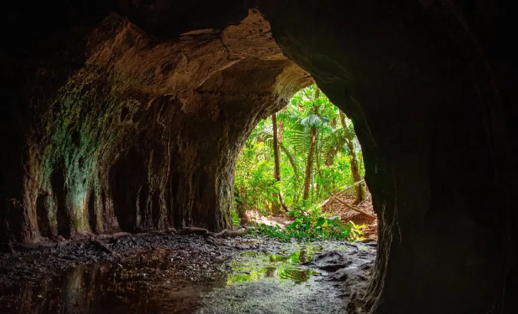 Jak kameraman náhodně odhalil deset let života v jeskyni u Yellowstone: Medvědi to nebyli