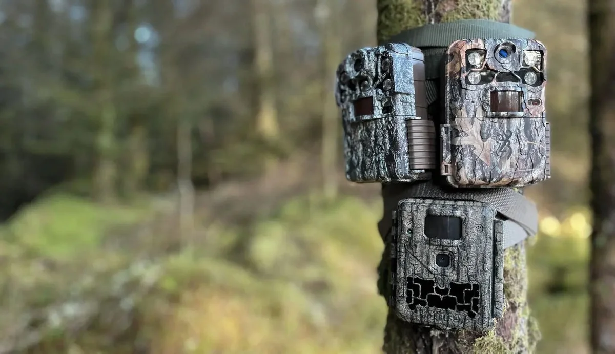 Jak kameraman náhodně odhalil deset let života v jeskyni u Yellowstone: Medvědi to nebyli - image 1