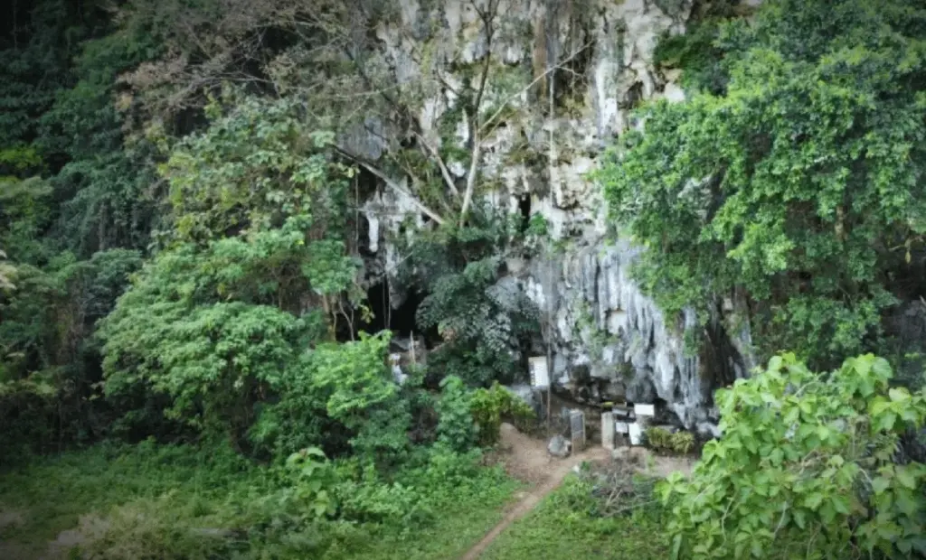 Kosti s místa objevů v Indonésii: Lidé a další příbuzní sdíleli ostrov před 200 000 lety