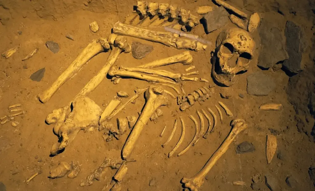 Odhalený 7 milionů let starý trik: Proč naši nejranější předci chodili tak, jako my dnes