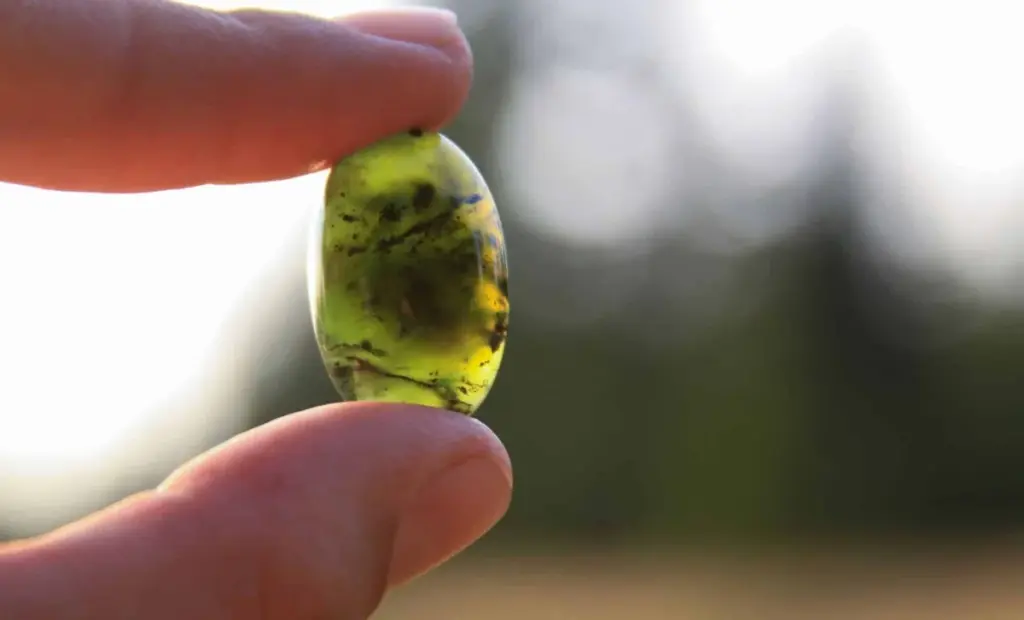 Proč geomologové v Číně schovávají houbu na jadeit: Objev, který mění cenu černého nefritu