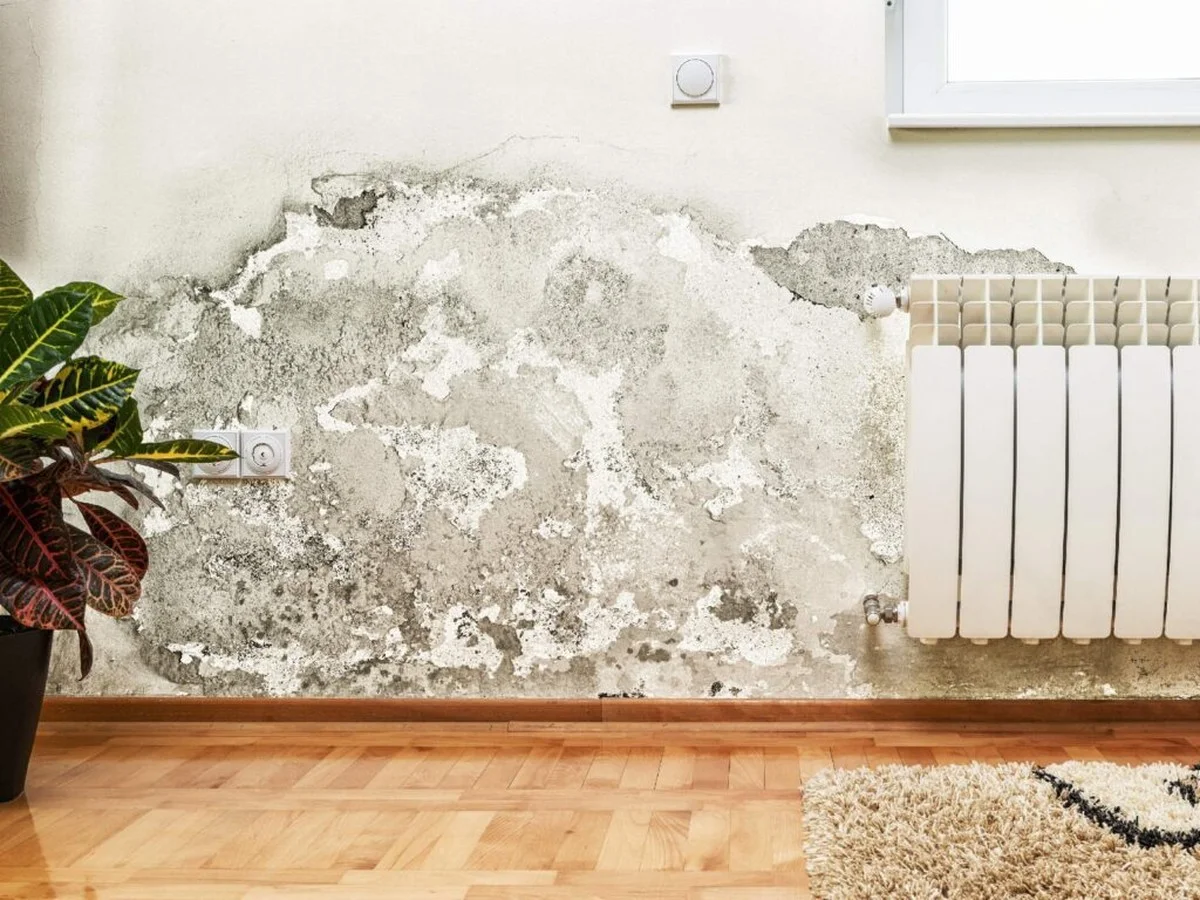 Proč máte v bytě vlhkost a co s tím dělat, když VMC nestačí - image 1