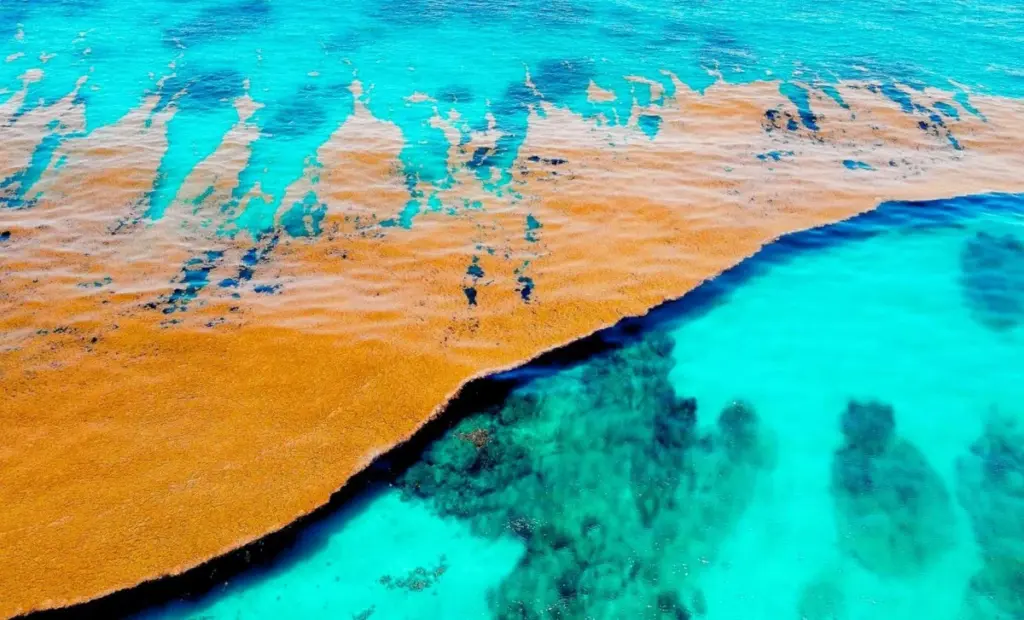Proč oceánografové v Bermudském trojúhelníku náhle bijí na poplach
