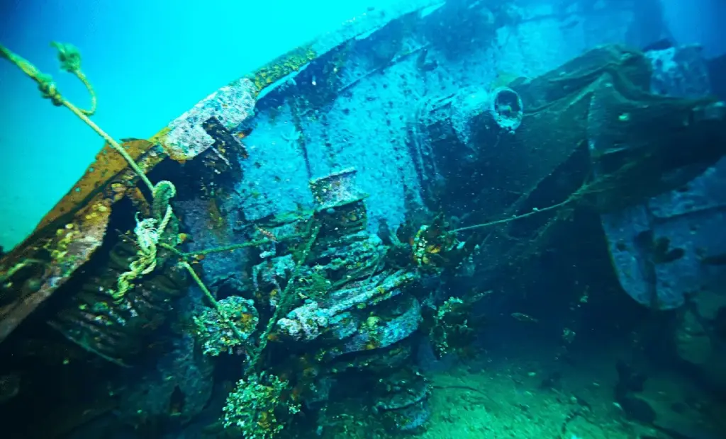 Proč potápěči nechávají zlaté mince za 17 miliard korun na dně oceánu