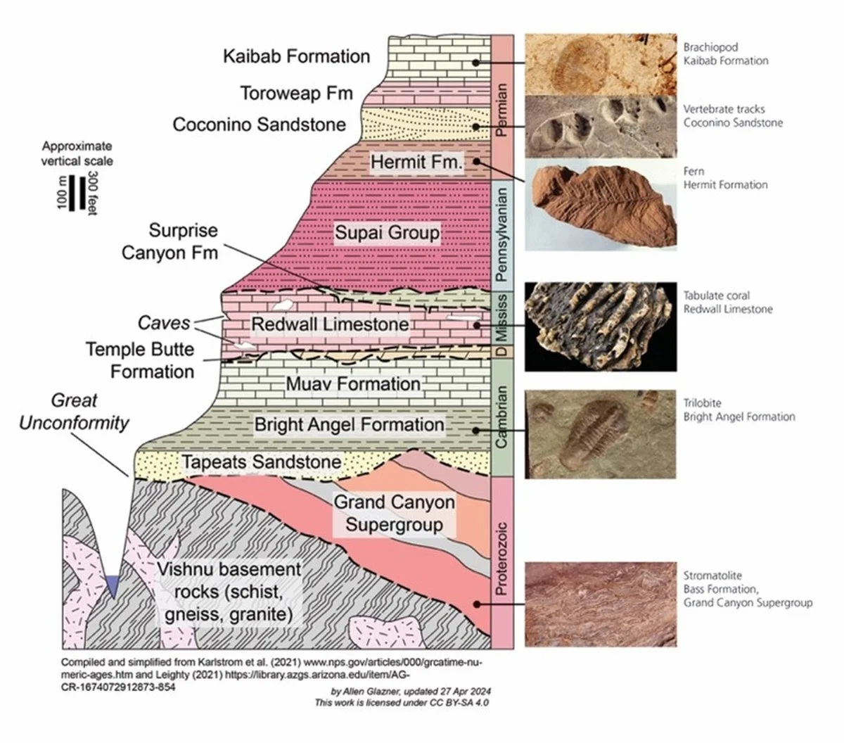 Proč se v Grand Canyonu náhle objevily fosílie staré půl miliardy let, které zde neměly být - image 2